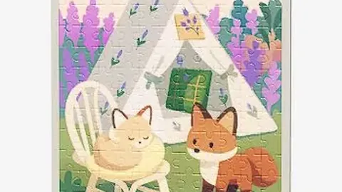 Heartopia期号专家质合分析推荐前区十码